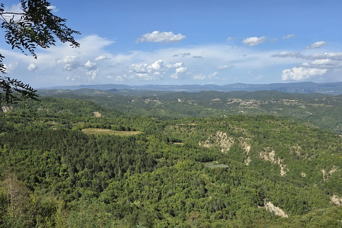 Bewaldetes Hügelland im Inneren Istriens bei Gračišće
