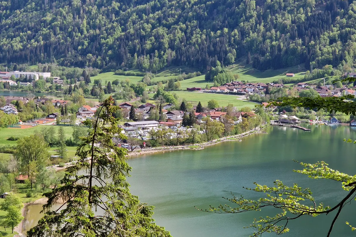Ufer des Großen Alpsees bei Immenstadt mit Ort und Bootsstegen