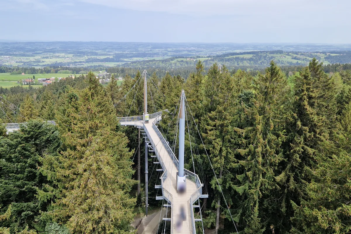 Blick vom Aussichtsturm auf den Baumwipfelpfad der Waldwelt Skywalk in Scheidegg