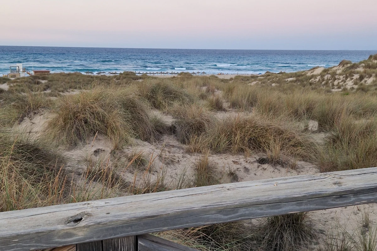 Dünen an der Cala Mesquida, Meer mit Schaumkronen, links Rettungsturm und Schirmreihe, vorn ein Holzgeländer, September 2024